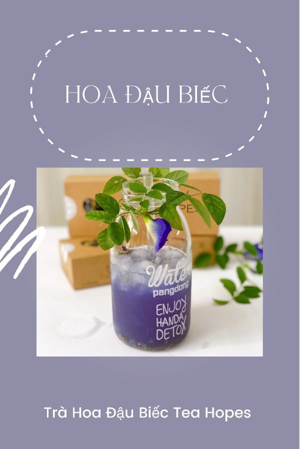 Trà viên hoa đậu biếc