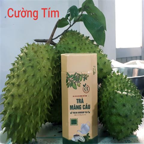 TRÀ MÃNG CẦU XIÊM CƯỜNG TÍM